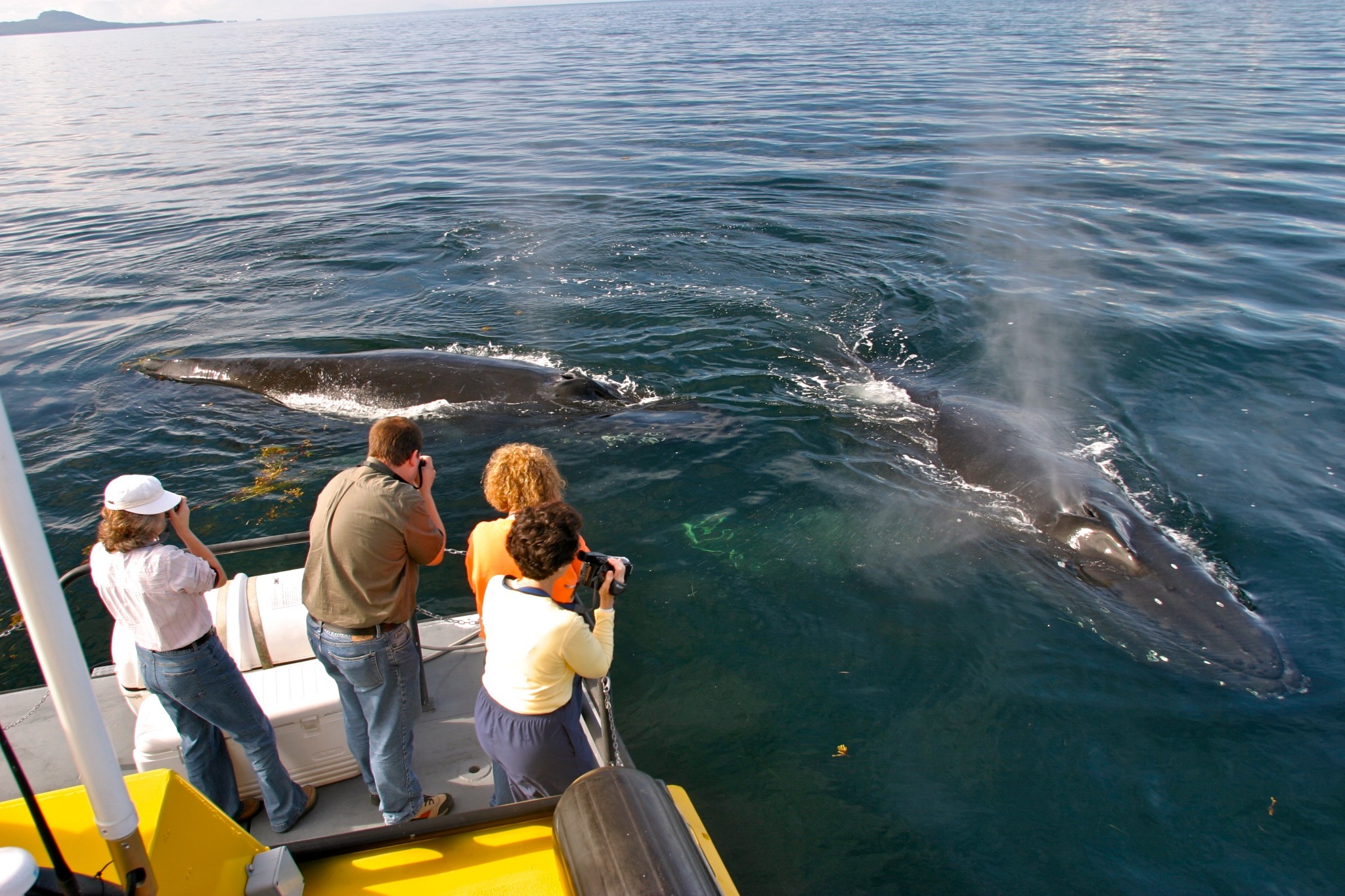 Guests photographing humpback whales from the M/V Inside Passage catamaran.