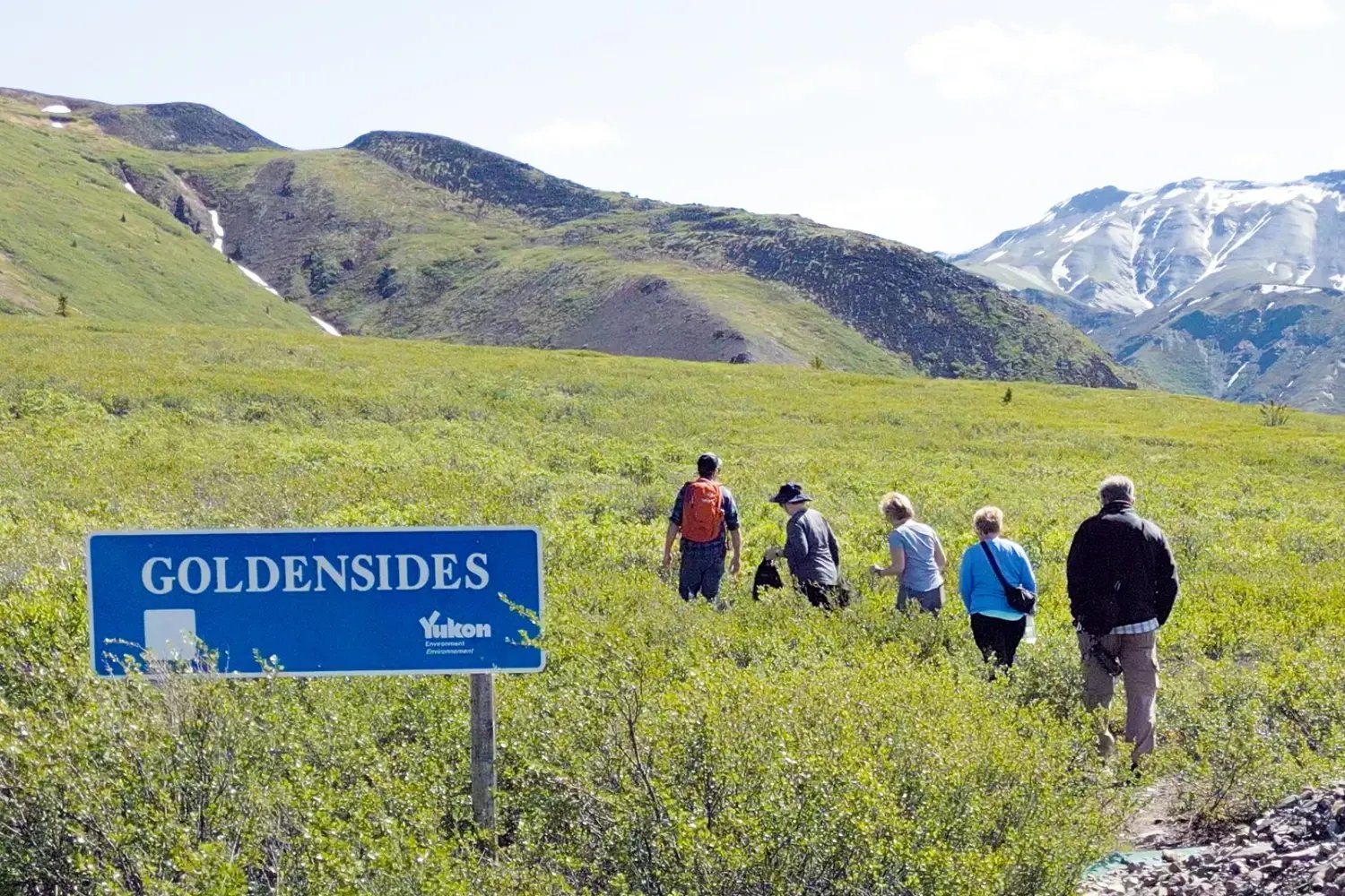 Guests walking with a local guide near the Goldensides area in Tombstone Territorial Park, with alpine tundra and mountain scenery around them.