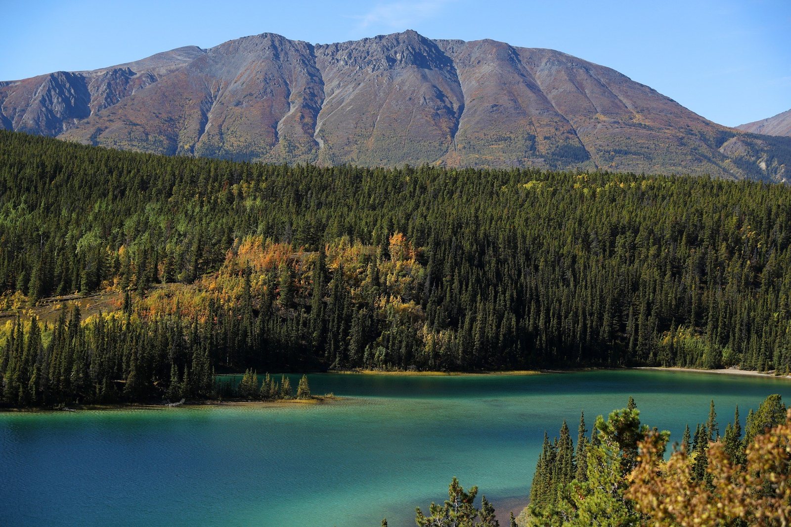 Emerald Lake in Yukon, with vivid green water, forest, and mountains along the Southern Lakes route.